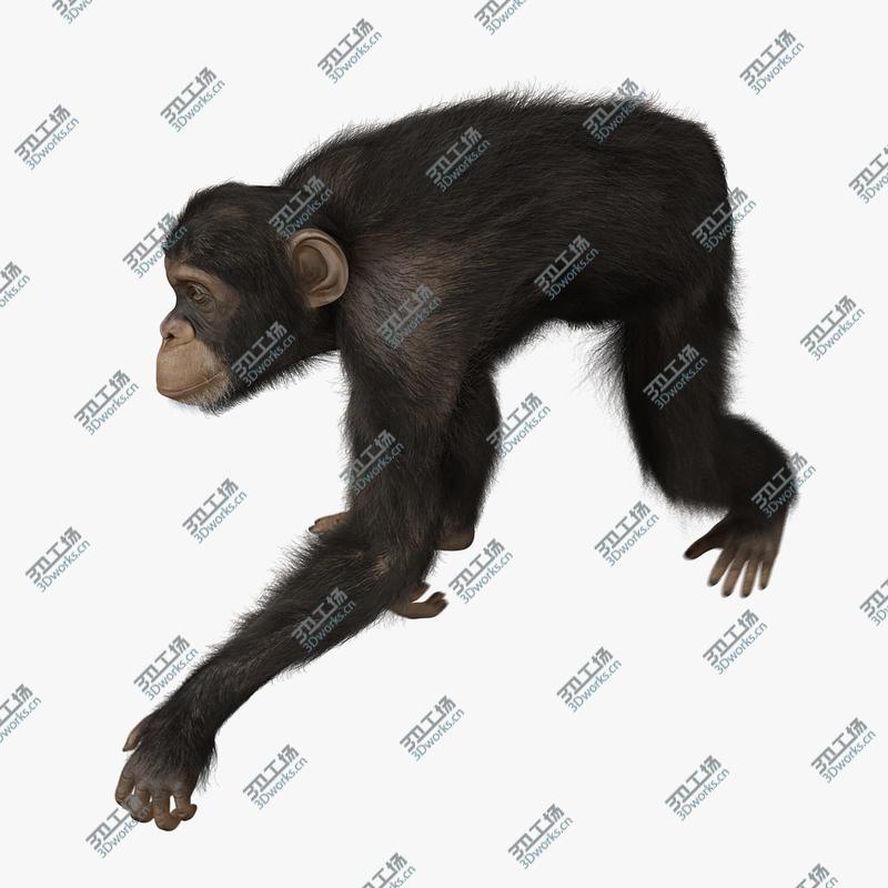 images/goods_img/20210115/Robot Worker 3D model/1.jpg